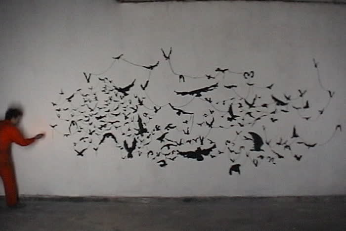 Vanavolar
