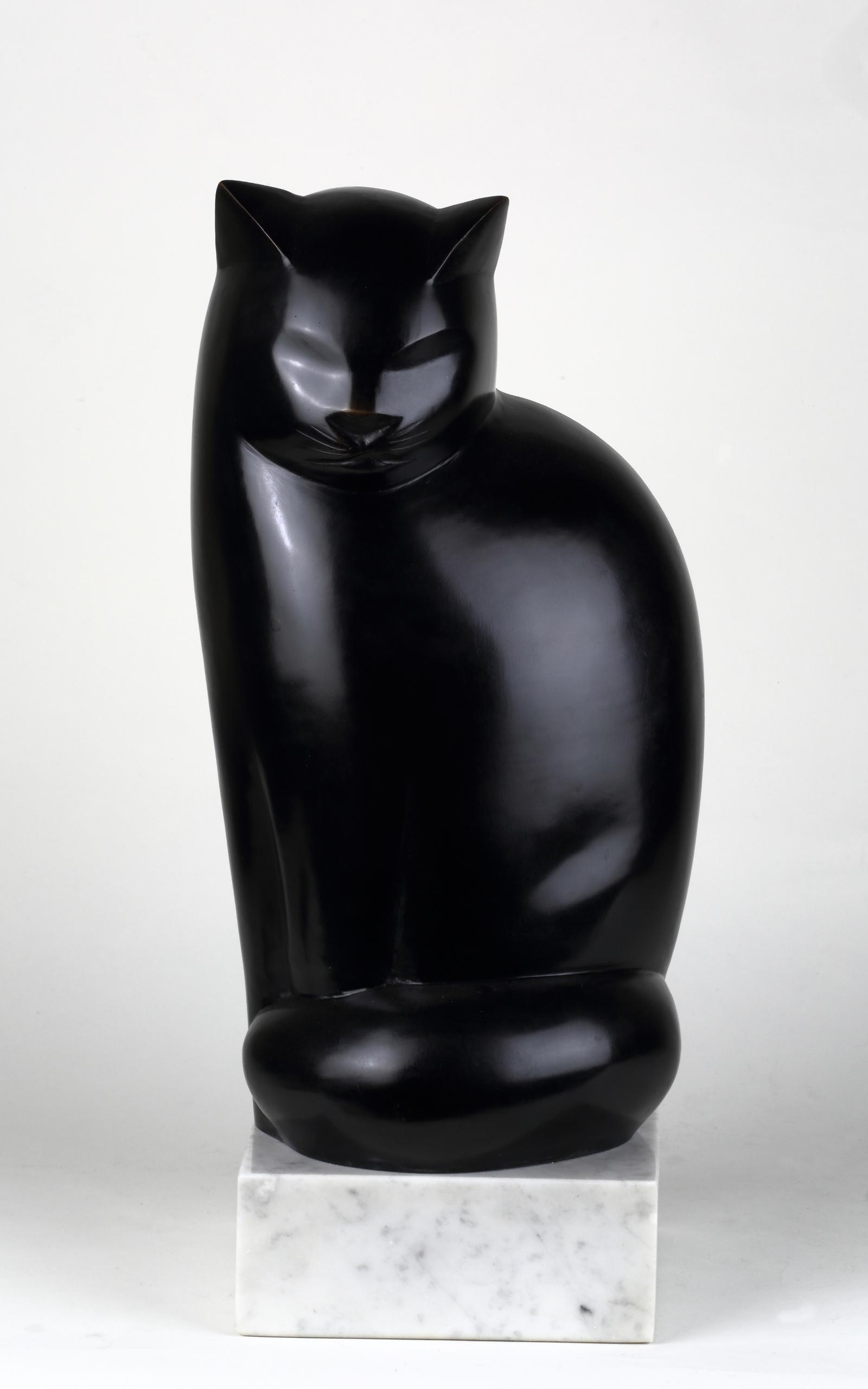 Gato