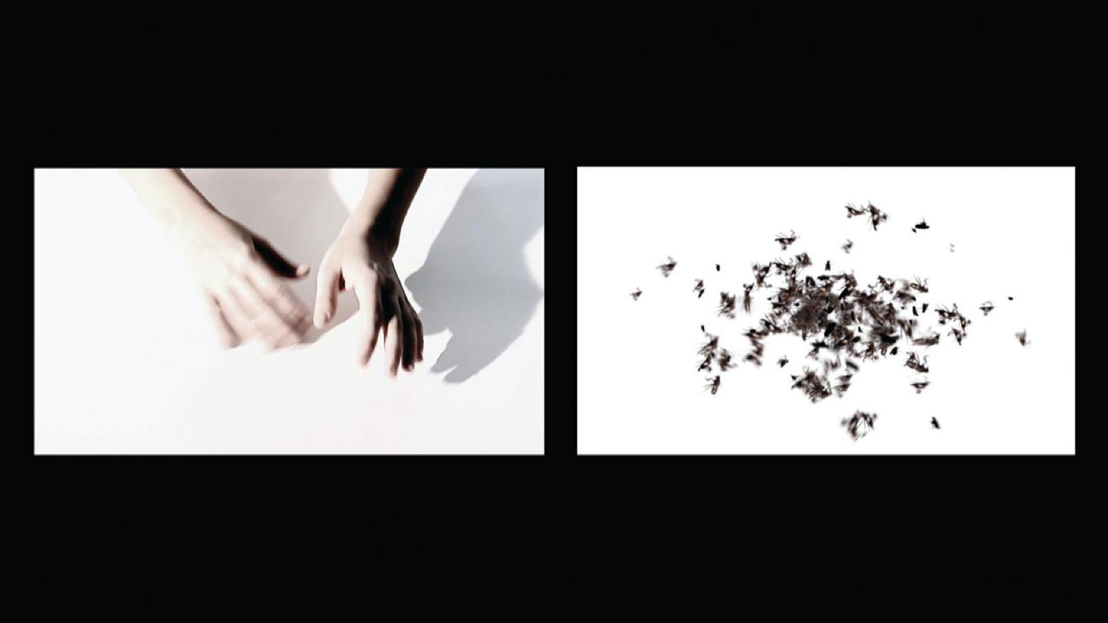 Acci&oacute;n-acci&oacute;n