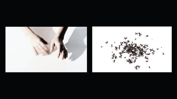 Acción-acción