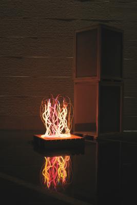 Fuegos de luces