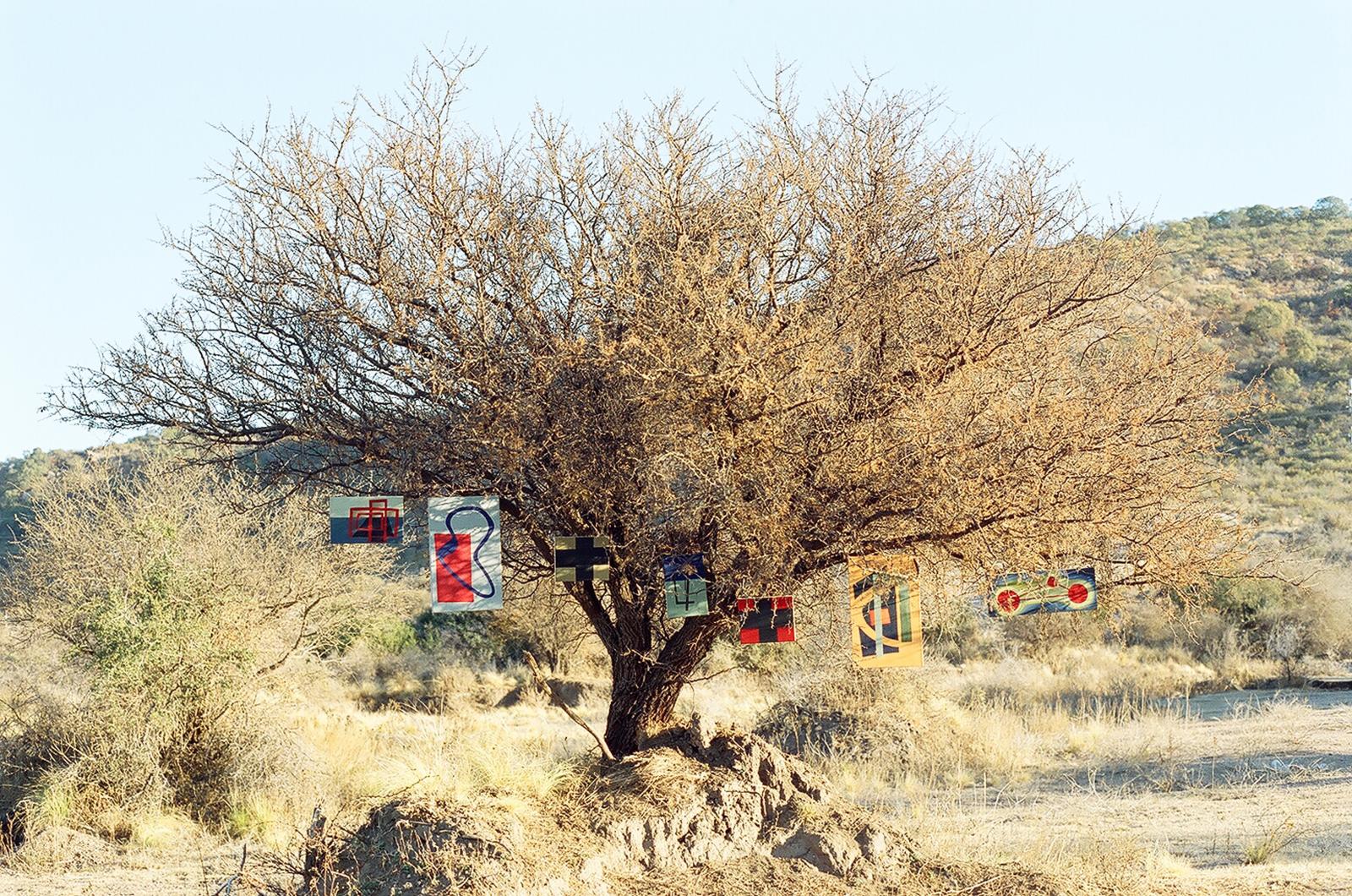 &Aacute;rbol de cuadros 2008 - Capilla del Monte