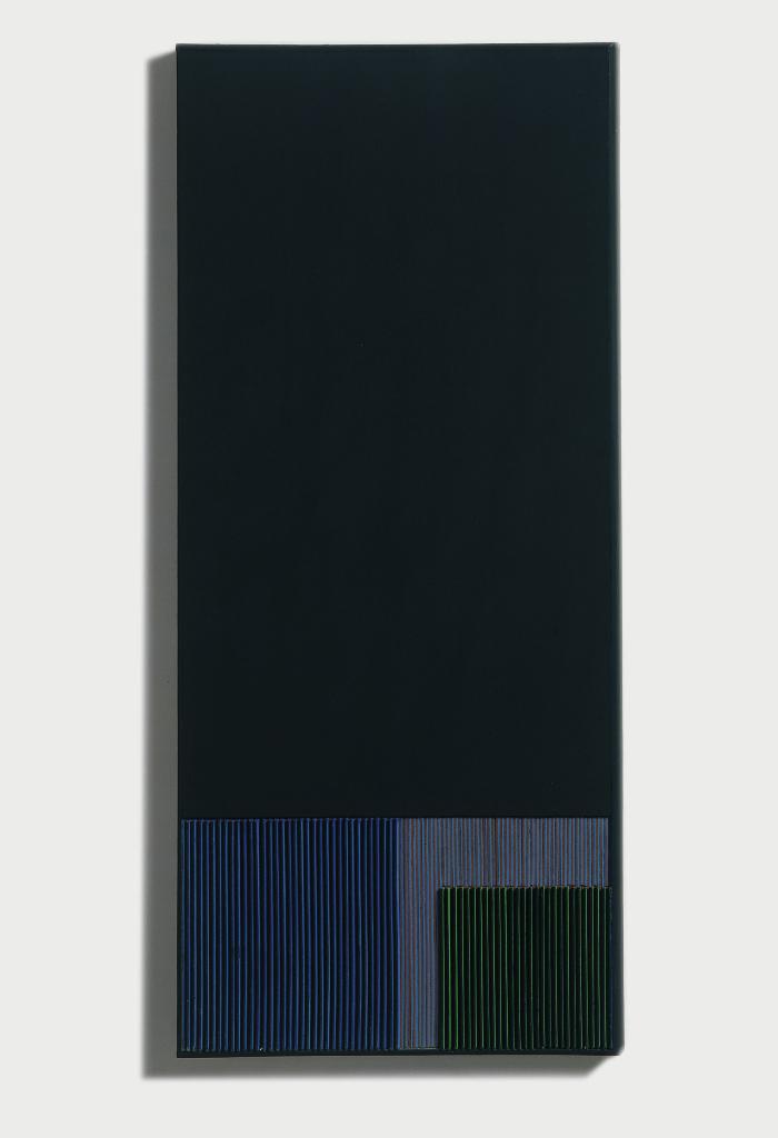 Fisicrom&iacute;a 51