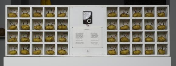 Analogía I